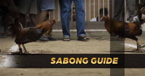 sabong quide|Sabong Philippines .